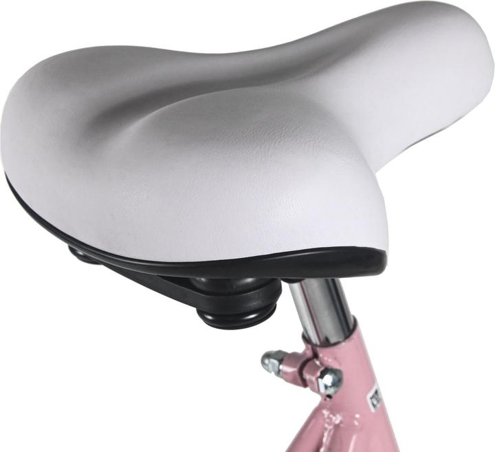 Produktbild Damenrad 28" Classic Premium 1 Gang RH 53 cm mit Korb (53 cm)