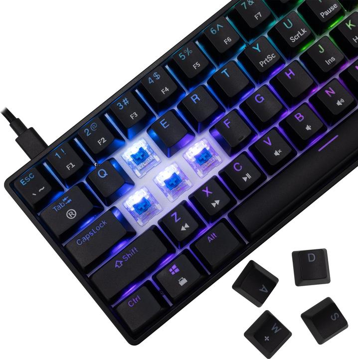 Actual product image White Shark GK-004121 Shinobi-2 Blue Switch, Black US (US, Cable)