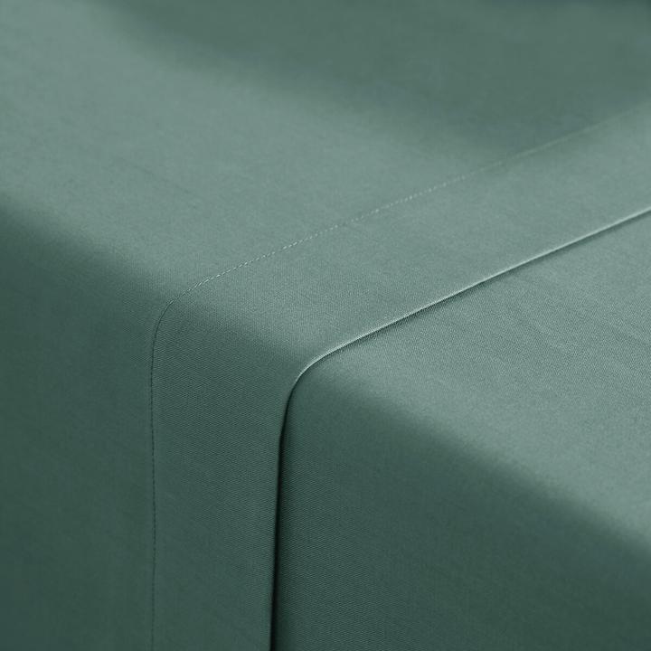 Image du produit La Redoute Interieurs Scenario Coton (Oberleintuch, 150 x 250 cm)