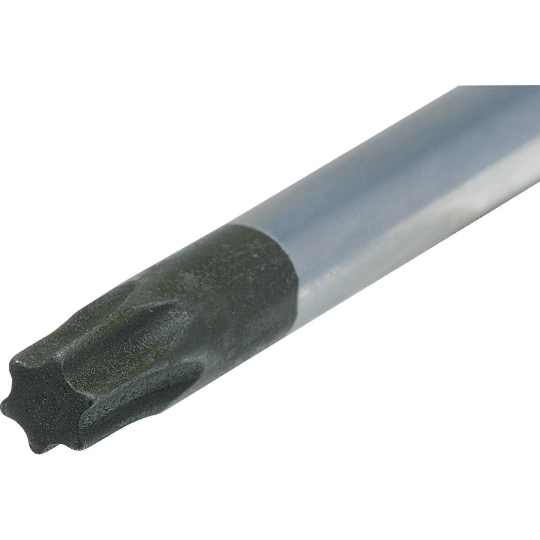 Thumbnail - KS Tools, Schraubenzieher, 159.1050 (Pin-torx)