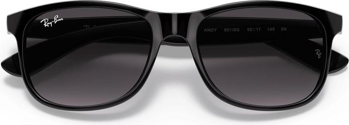 Produktbild Ray Ban Rb4202