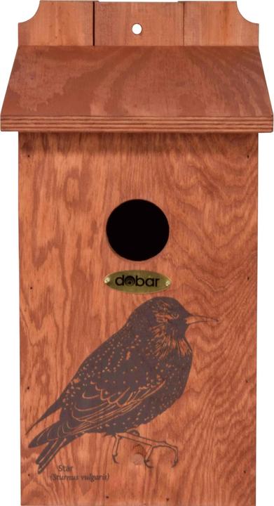 Immagine prodotto Dobar Scatola nido con motivo serigrafico Star 19 x 20 x 38 cm