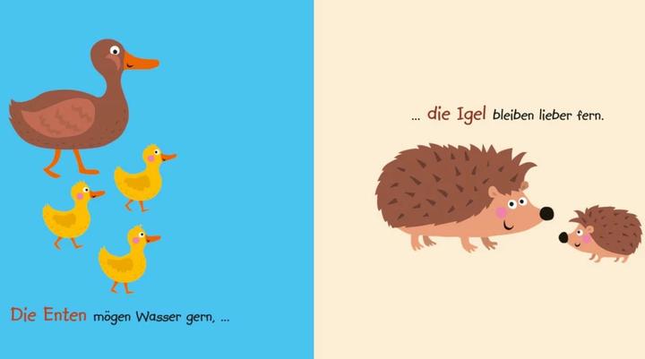 Actual product image My Baby Pixi buggy book: My first animal book (German)