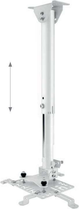 Hagor HA BDH projector mount ceiling stainless steel (Ceiling)