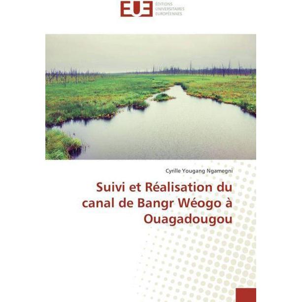 Suivi et Réalisation du canal de Bangr Wéogo à Ouagadougou, Fachbücher
