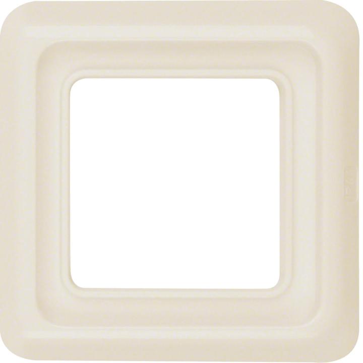 Actual product image Berker Combination frame