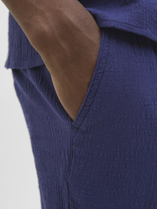 Actual product image Jack & Jones Jogger Fit Shorts Shorts (M)