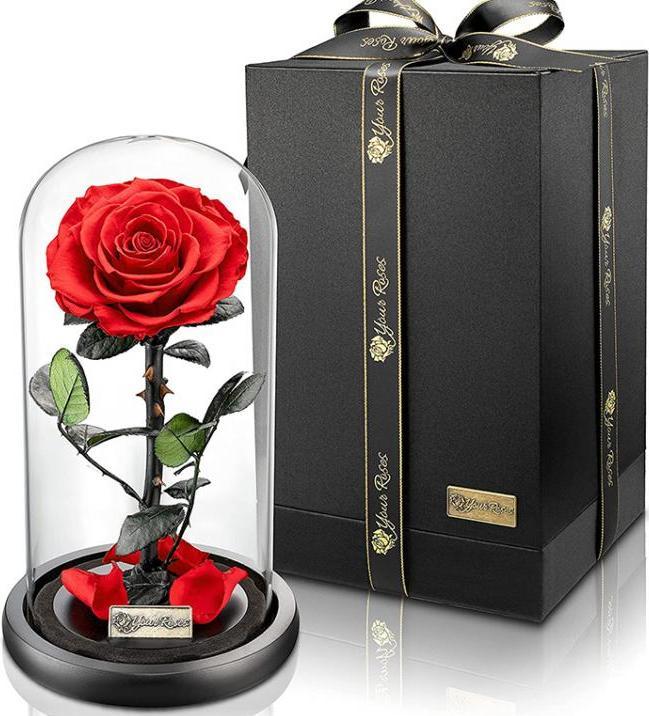 Produktbild TOP Ewige Rose im Glas