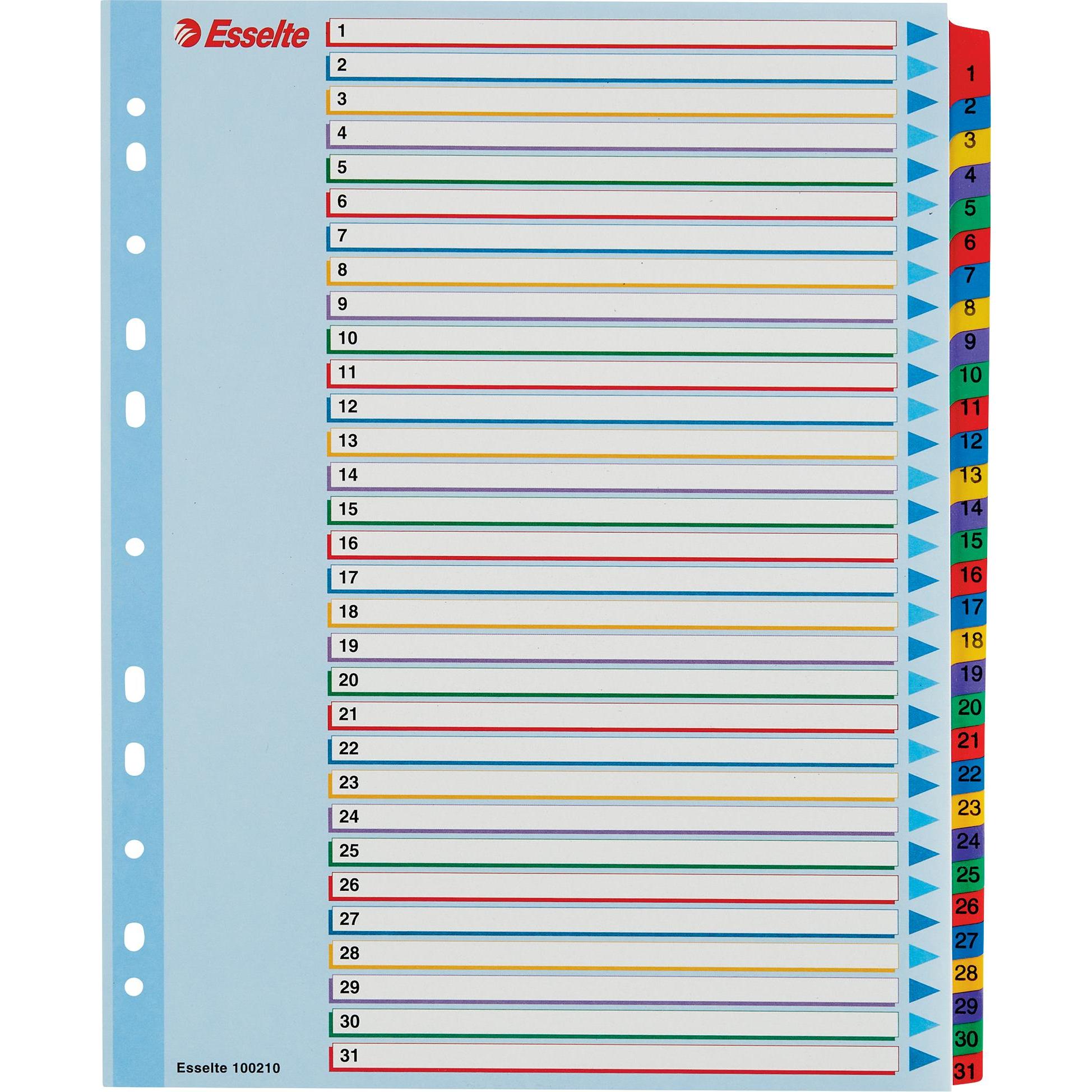 Esselte, Accessori per classificatore, Fogli singoli, 1-31, colorati, riutilizzabili, A4+