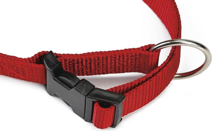 Actual product image Beeztees BZ NYL HALSB VARIABLE 22 35X10 (Dog, General)