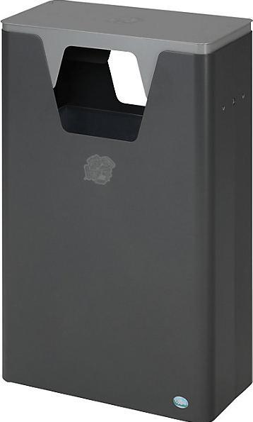 Eisenglimmer, Silber