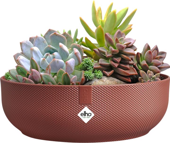 Produktbild Elho Jazz Bowl (28 x 9 cm)