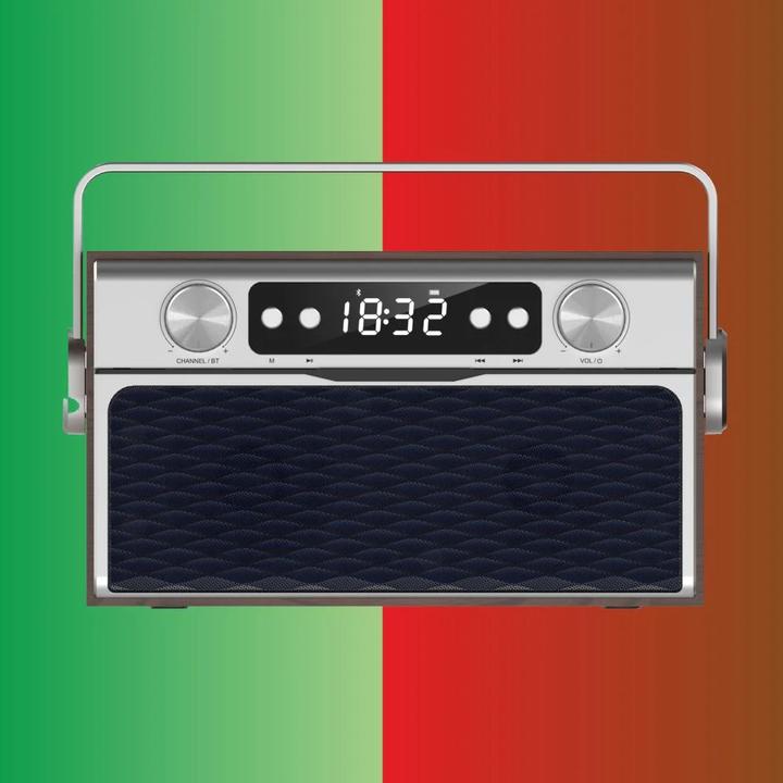 Actual product image Manta RDI917PRO (FM, PLL, Bluetooth)