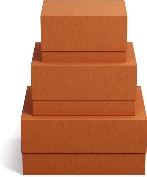 Image du produit Bigso Boîte de rangement Ilse