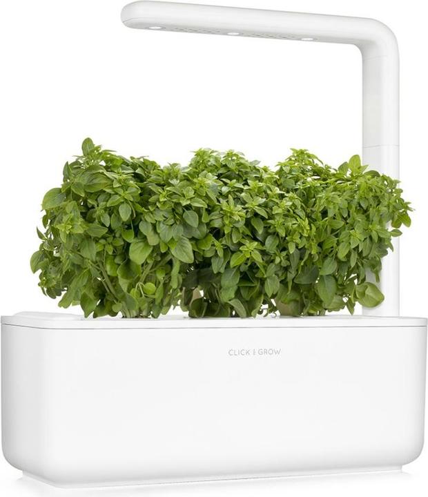 Produktbild Click and Grow Zwergbasilikum (Kräutersamen)