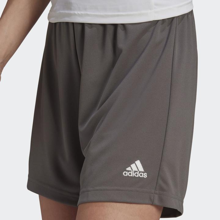 Actual product image adidas Entrada 22 Shorts (M)