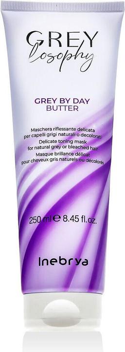 Inebrya Mask for gray and platinum hair Gray By Day (Butter) - Volume: 250 ml