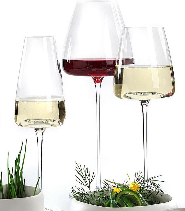 Actual product image Zieher Vision Straight Wine Glass (54 cl, 1 Glass, Red wine glasses)