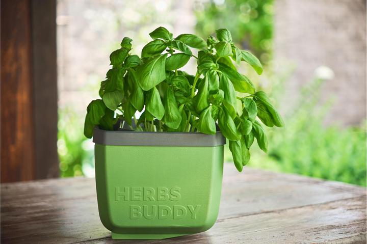 Actual product image Gusta Garden HERBS BUDDY Kräutertopf 3er Set Grün (49 x 15 x 14.50 cm)
