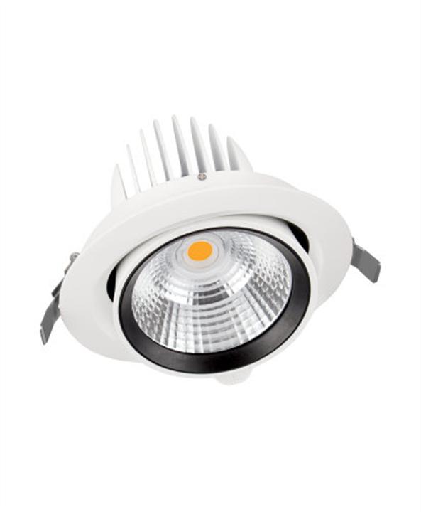 Image du produit Ledvance Spot LED encastrable rond pivotant SPOT VARIO 170 35 W 4000 K 24DEG WT 35W 3350lm 4000K 23 (3550 lm)