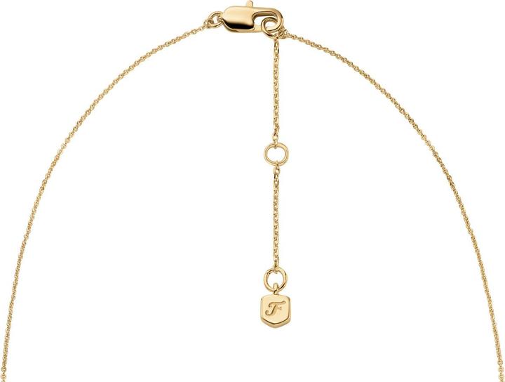 Image du produit Fossil JA7302710 Collier (Acier inoxydable, 46 cm)
