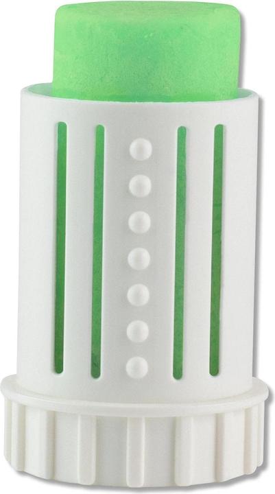 Actual product image Abfluss-Fee Duftstein Apfel-Zitrone 4 Stück