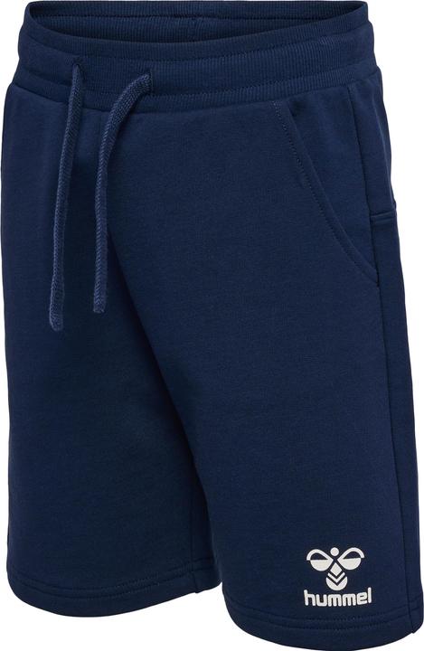 Image du produit hummel Hmlflow Shorts (152)