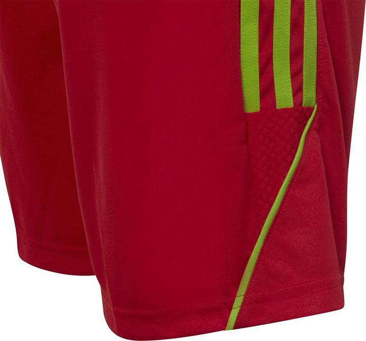 Actual product image adidas Tiro 23 training shorts kids (128)