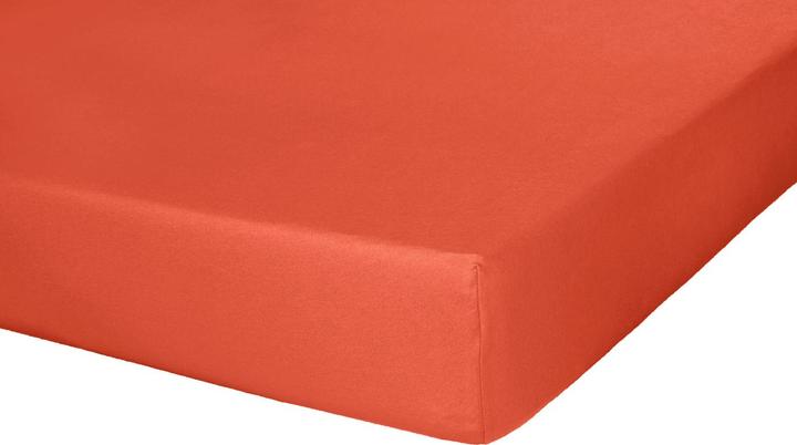 Actual product image Buona Notte Jersey Spandex Fitted Sheet (90-100 x 200-220 cm)