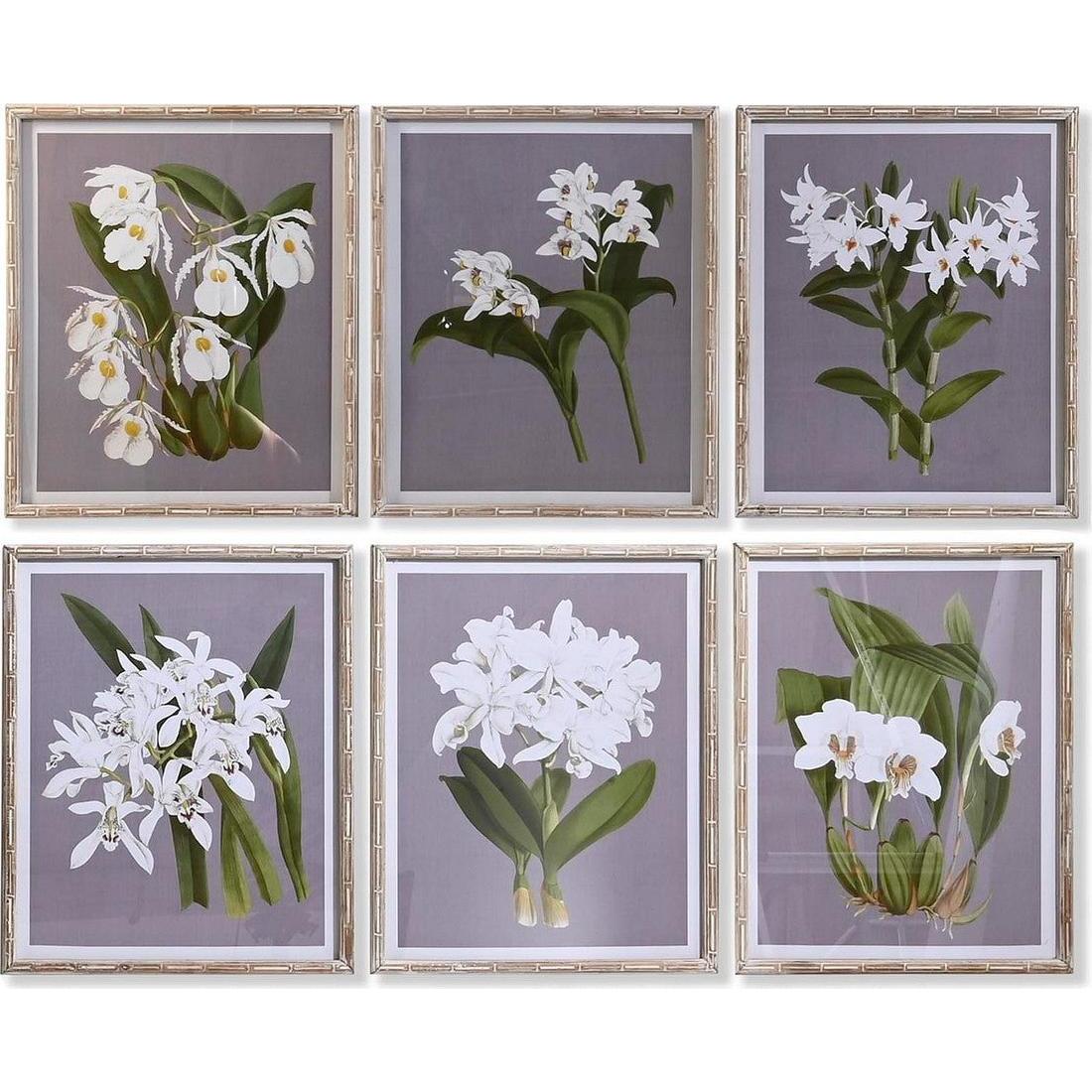 DKD Home Decor, Quadri, Painting Fir Crystal 50 x 60 x 2,8 cm 50 x 2,8 x 60 cm Flowers (6 Pieces) (50 x 2.80 cm)