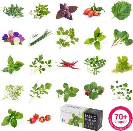 Produktbild Véritable Connect Indoor Garden (18 cm)