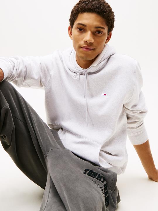 Actual product image Tommy Jeans Tjm Reg S Flag Hoodie (S)