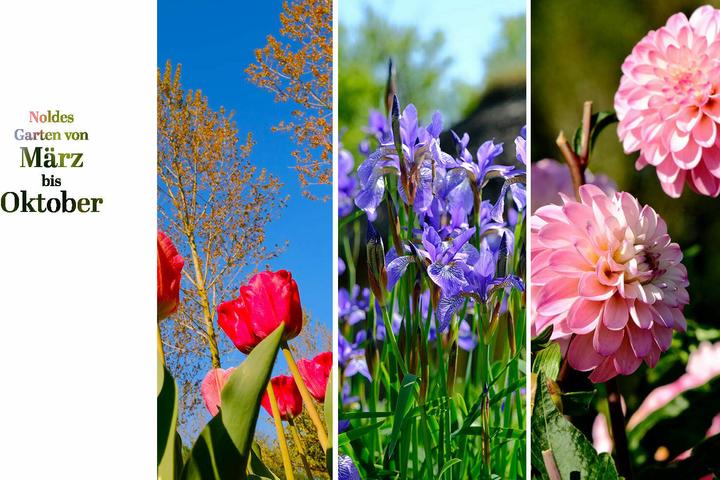 Immagine prodotto Der Garten von Emil Nolde (Tedesco, Magdalena Moeller, 2025)