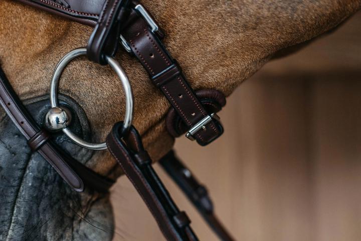 Produktbild Dy'on Reithalfter geflochten mit Pullback