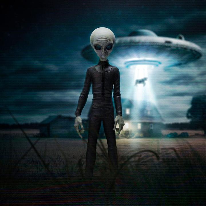 Produktbild Iron Studios I want to Believe Art Scale Statue 1/10 Alien Grey 21 cm