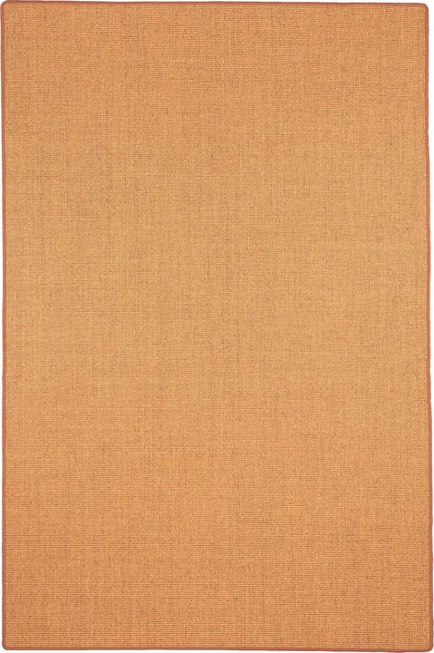 Image du produit Snapstyle Tapis en sisal naturel Classique - 9 coloris en 17 tailles (160 x 160 cm)