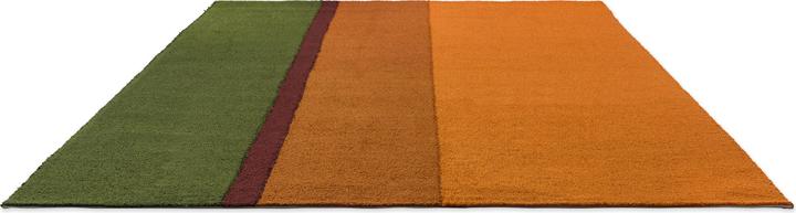 Immagine prodotto Brink & Campman Habitat Festival a righe (250 x 350 cm)