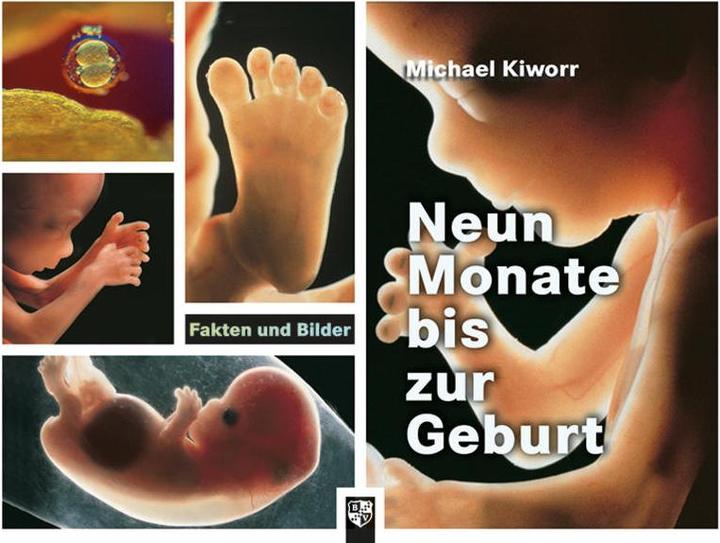 Produktbild Neun Monate bis zur Geburt (Deutsch, Michael Kiworr, 2016)