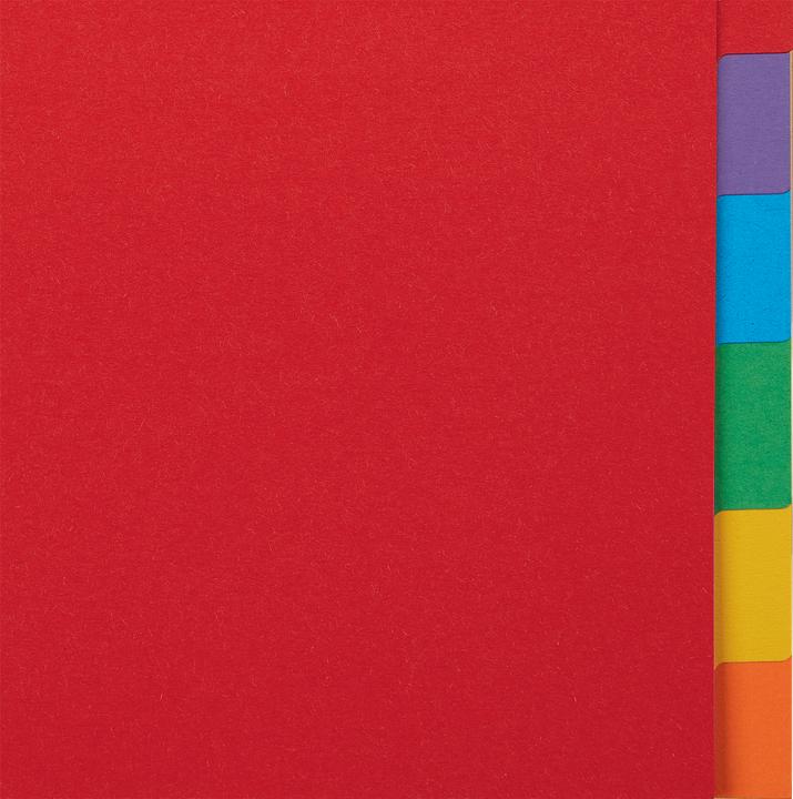 Immagine prodotto Esselte Intercalare in cartoncino A4