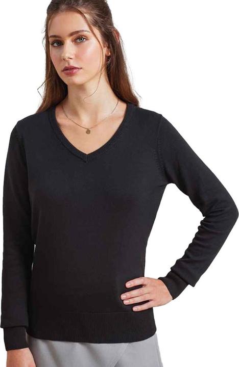 Produktbild Premier Sweatshirt VAusschnitt (44)