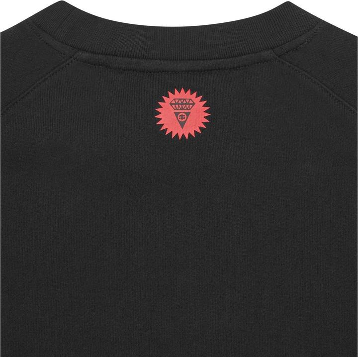 Actual product image Icecream Cones & Bones (M)