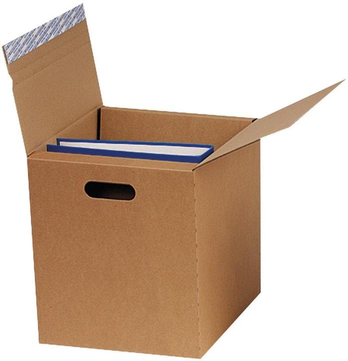 Image du produit Brieger Carton d'expédition pour classeurs 325 x 290 x 325 mm, 1 pièce (1 pcs, 29 x 29 x 32.50 cm)