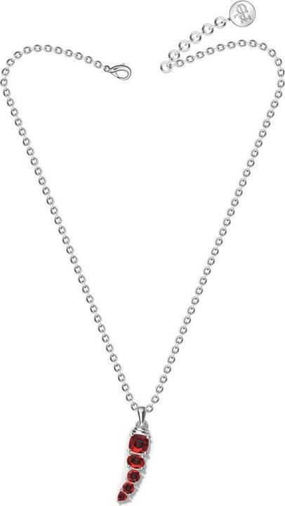 Image du produit Roccobarocco RBJ0017SS (Acier inoxydable)