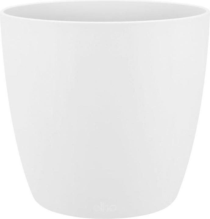 Actual product image Elho Brussels (20 cm)