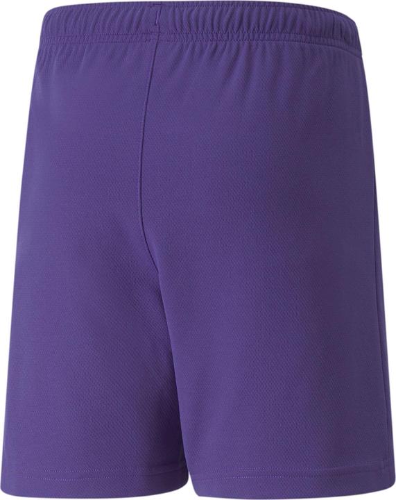 Actual product image Puma teamRISE Short Jr-704943 (176)