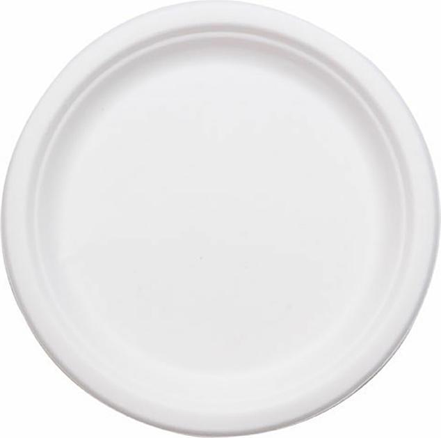 Produktbild Zuckerrohr Teller (50 x)