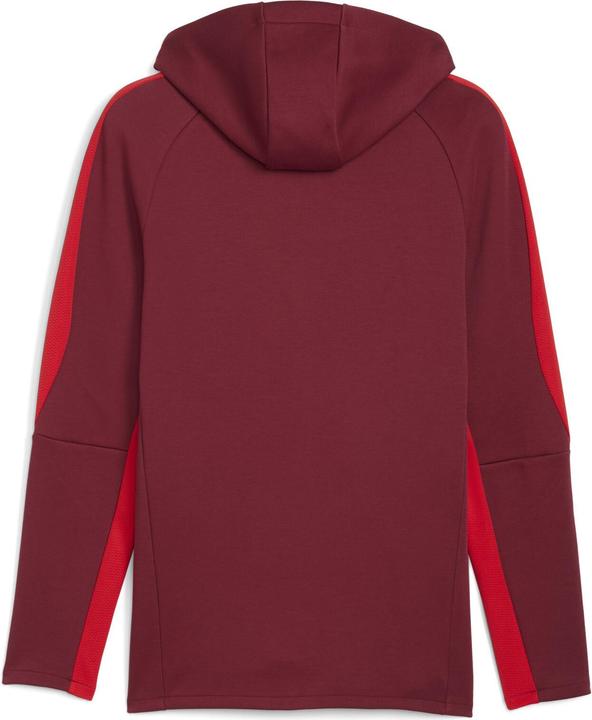 Image du produit Puma Veste à capuche RBS EVOSTRIPE (XL)