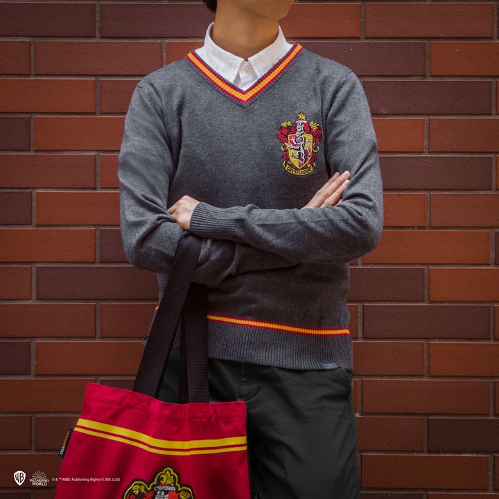 Actual product image Cinereplicas Gryffindor (34)