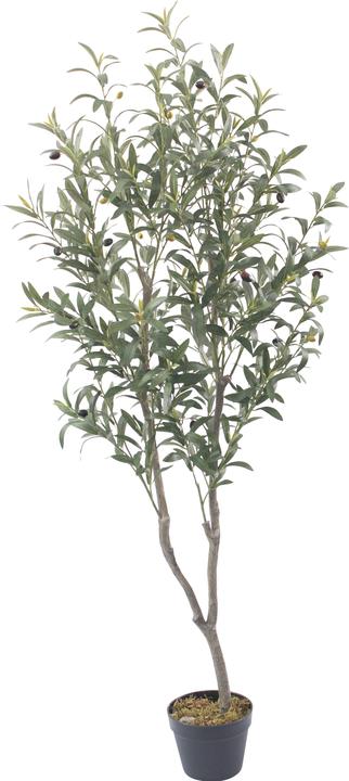 Produktbild Paperflow OLIVENBAUM Kunstbaum 155,0 cm (155 cm)