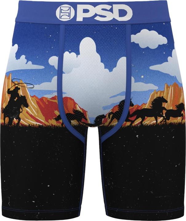 Produktbild PSD Boxershorts ACE HIGH Unterhosen (M, Einzelpack)